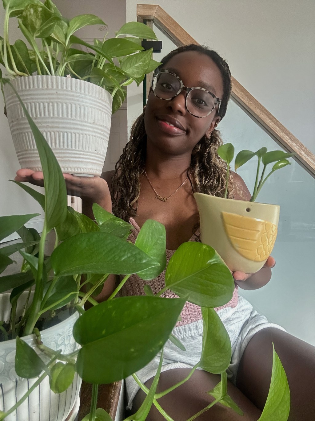Meet the Plants
