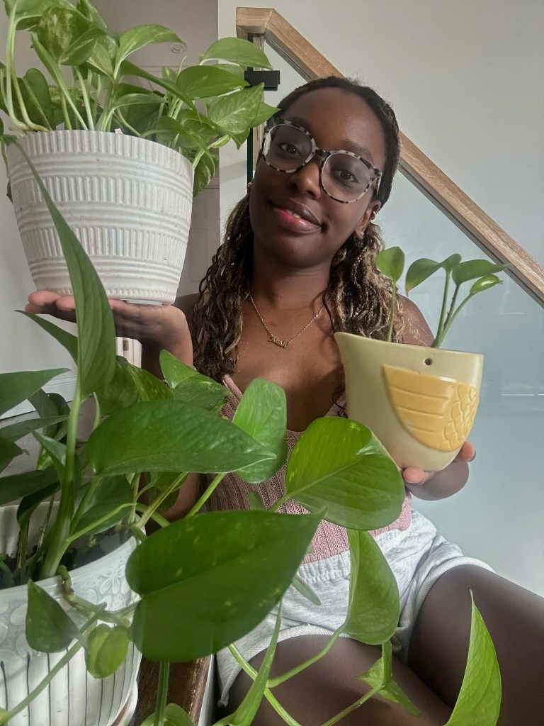Meet the Plants